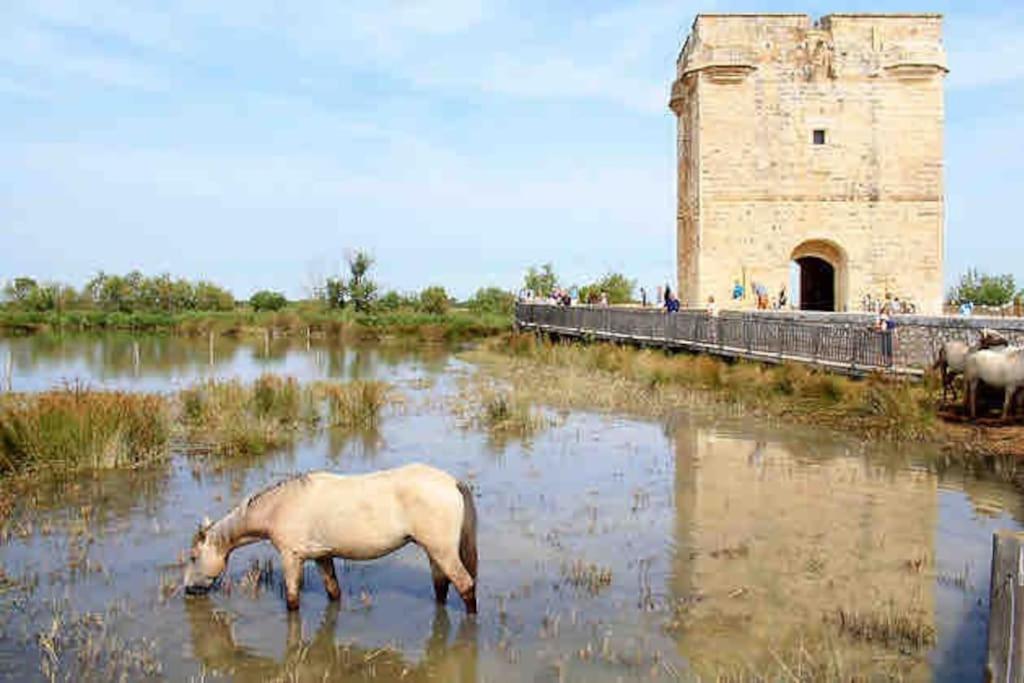 Maison Chaleureuse A 5 Mins Des Remparts Aigues-Mortes Exterior photo